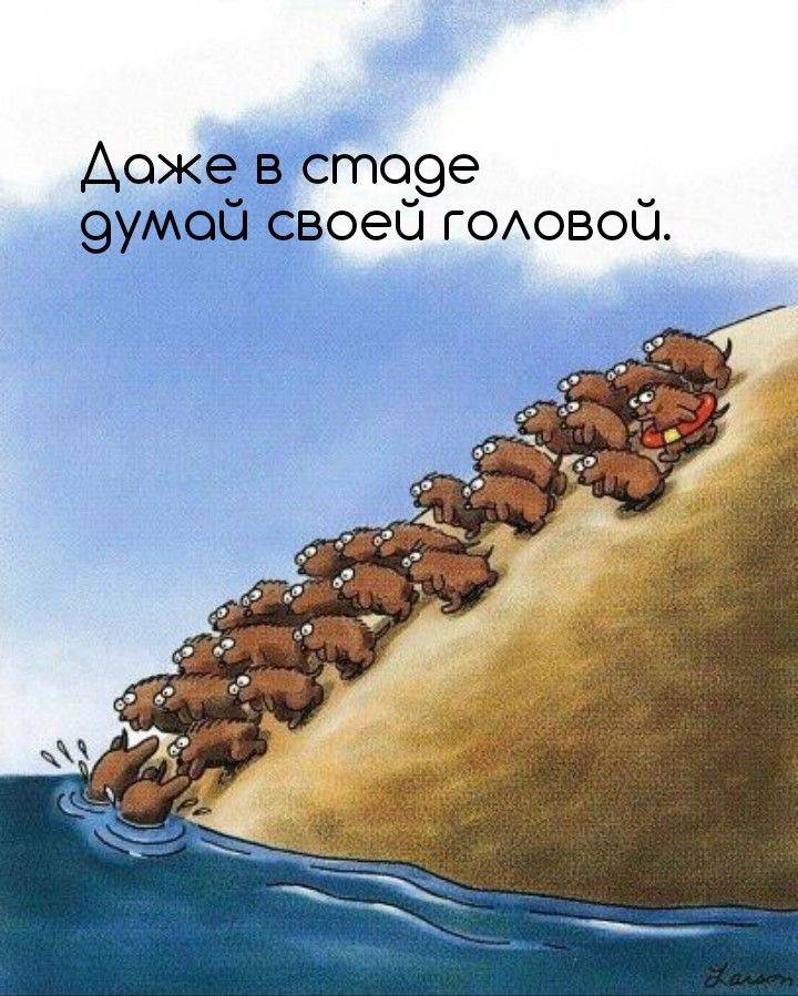 Каждый в своем стаде. Стадо овец. Миграция леммингов. Баран живопись. Толпа овец.