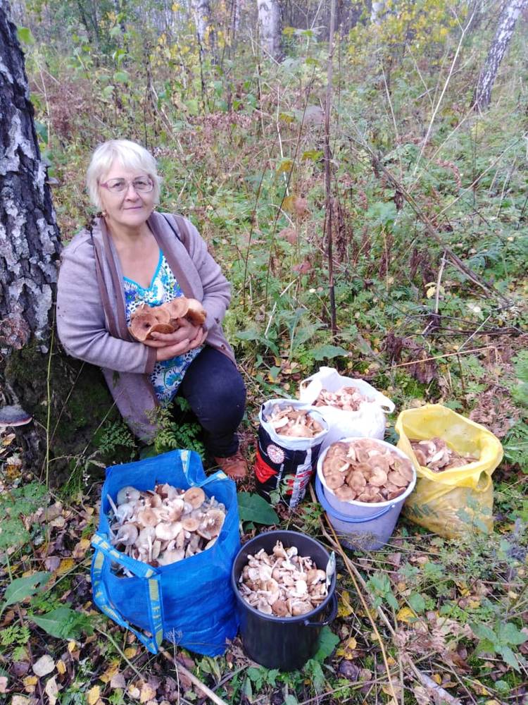 Картинка загружается...