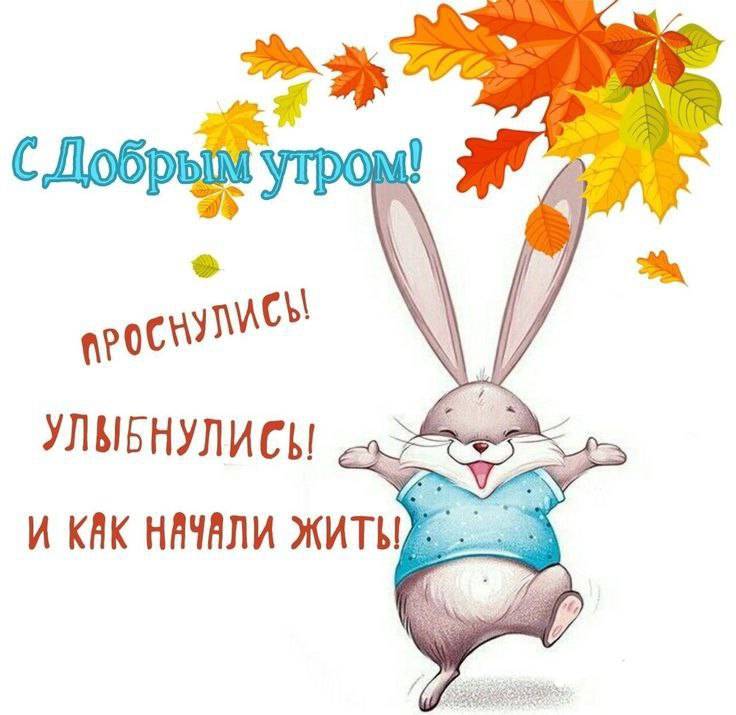 Картинка загружается...