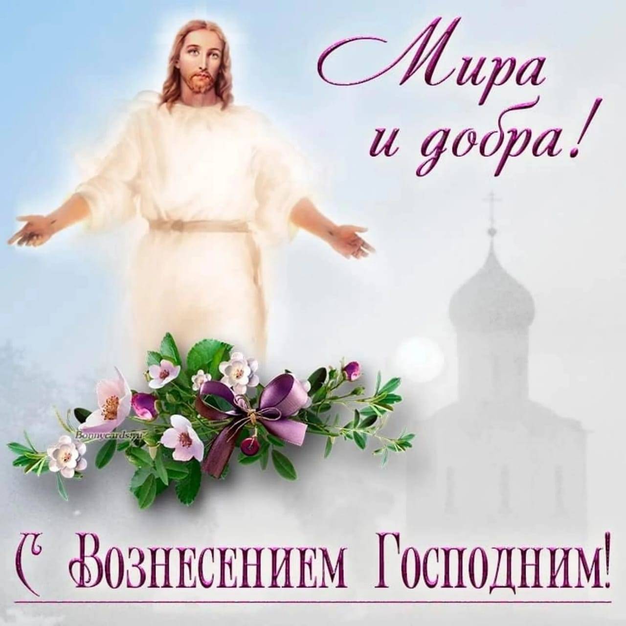 Картинка загружается...