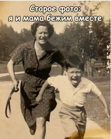 Картинка загружается...
