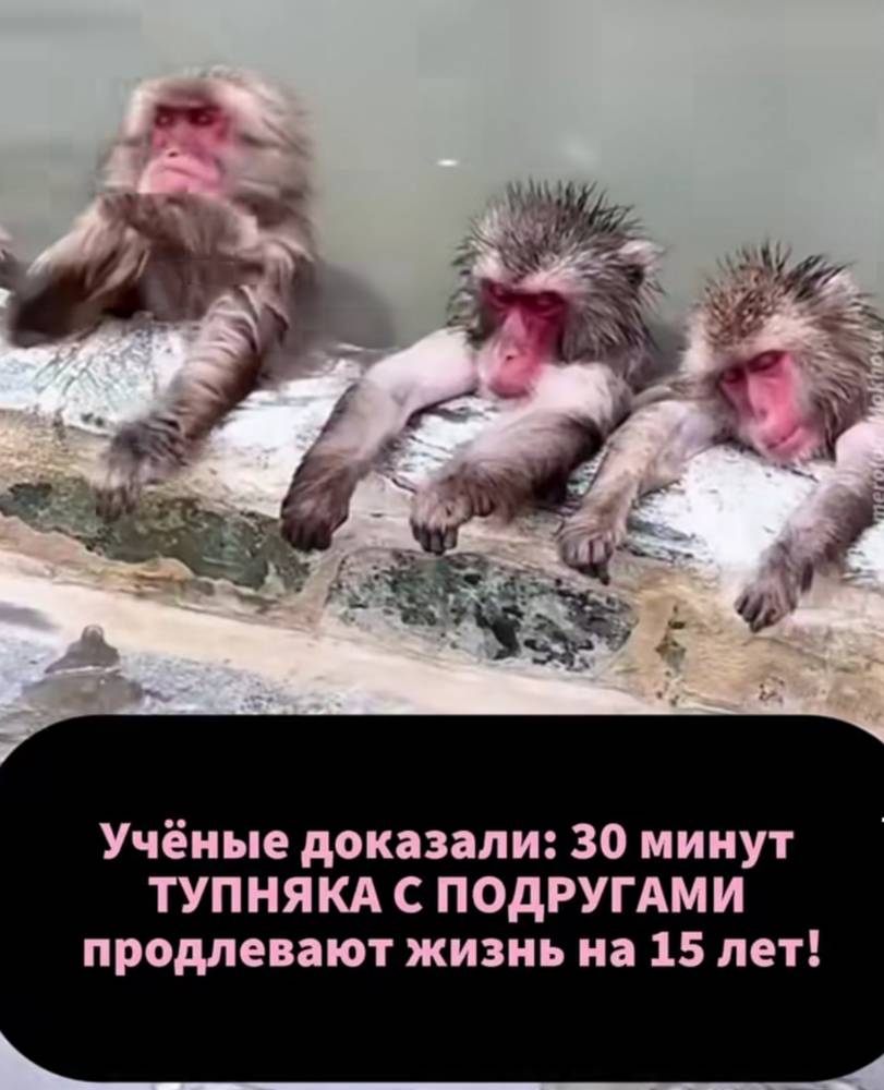 Картинка загружается...