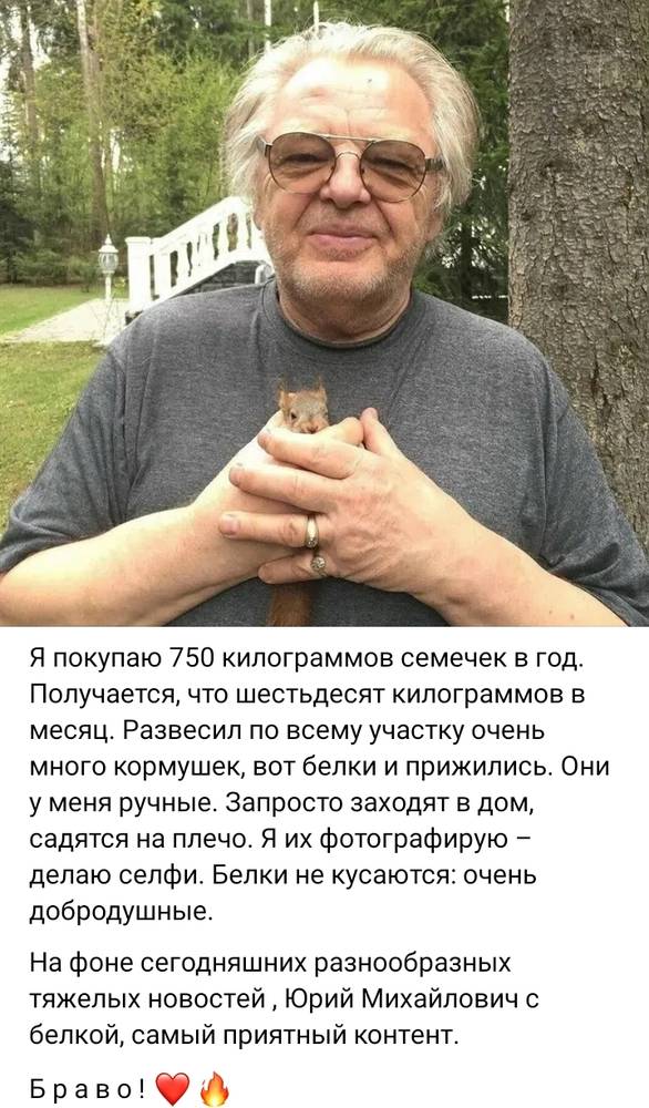 Картинка загружается...