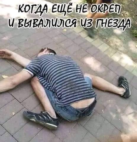 Картинка загружается...