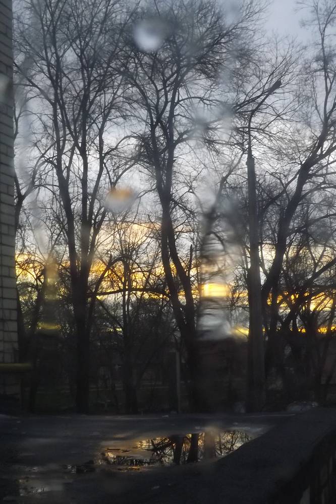 Картинка загружается...