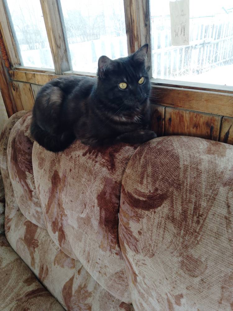 Картинка загружается...