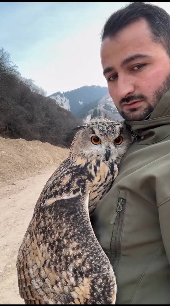 Картинка загружается...