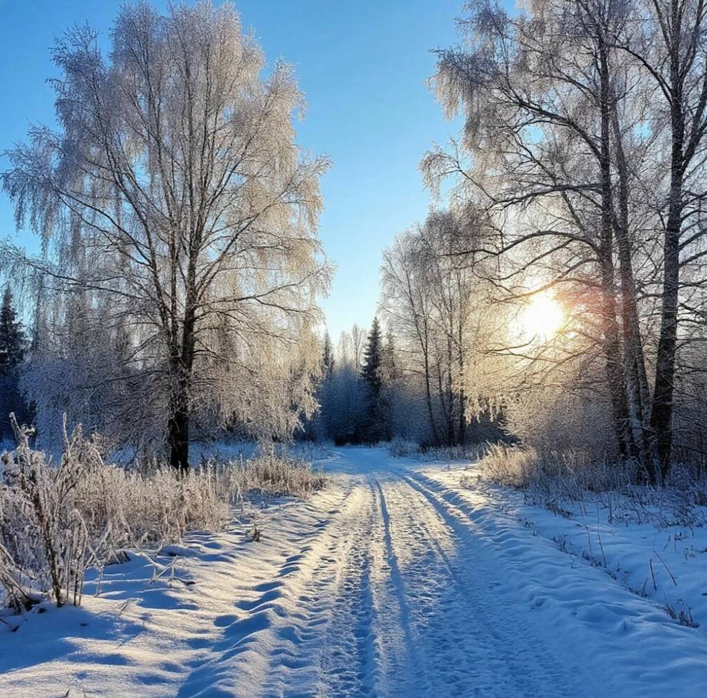 Картинка загружается...