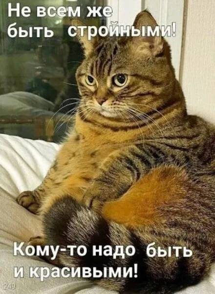 Картинка загружается...