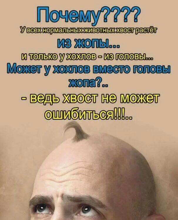 Картинка загружается...
