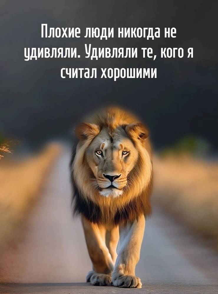 Картинка загружается...