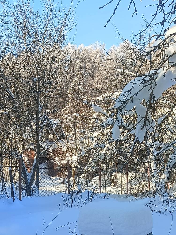 Картинка загружается...