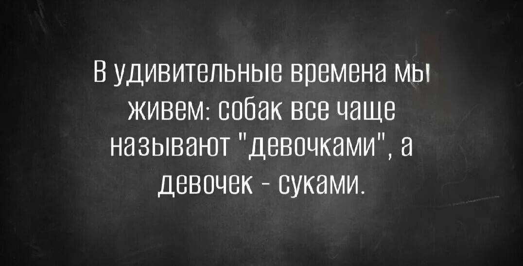 Картинка загружается...