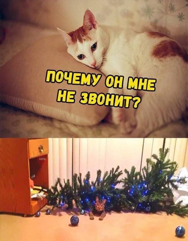 Картинка загружается...