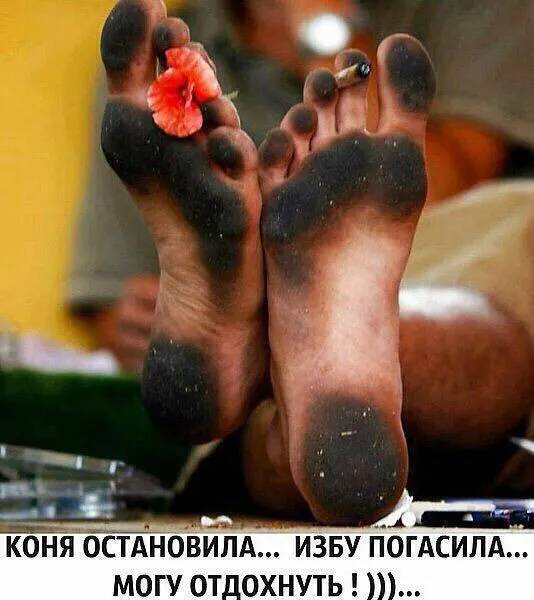 Картинка загружается...