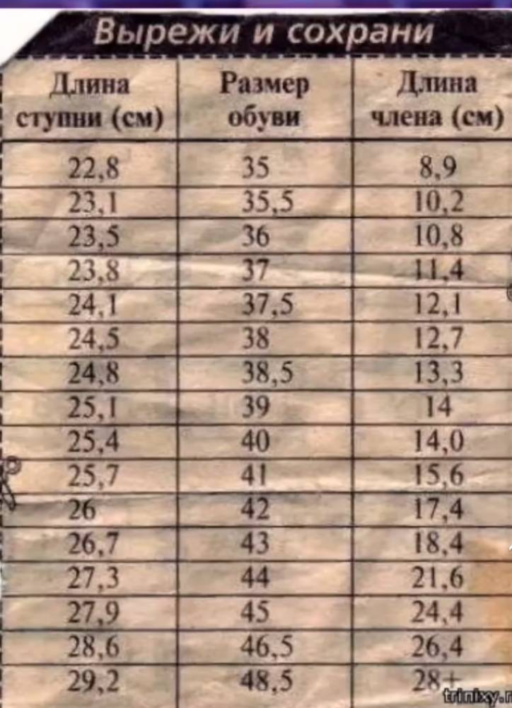 Картинка загружается...