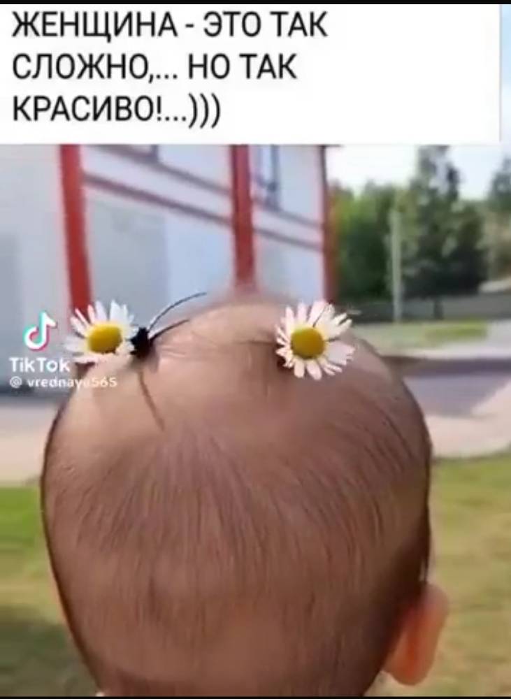 Картинка загружается...