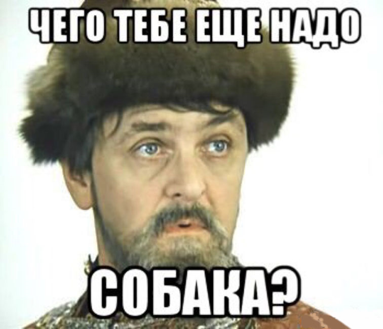 Чего и так не может. Низафто Иван Васильевич. Какая собака Иван Васильевич меняет профессию. Чего тебе еще надо собака. Чеготебеещёнадо собака.