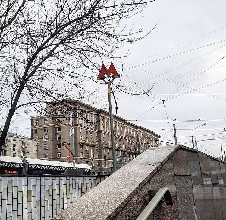 Картинка загружается...