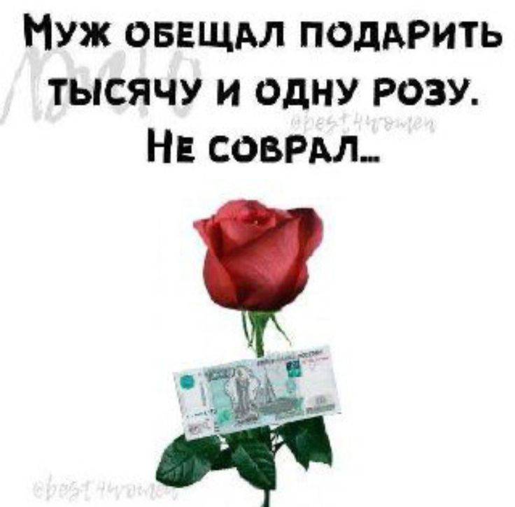 Картинка загружается...