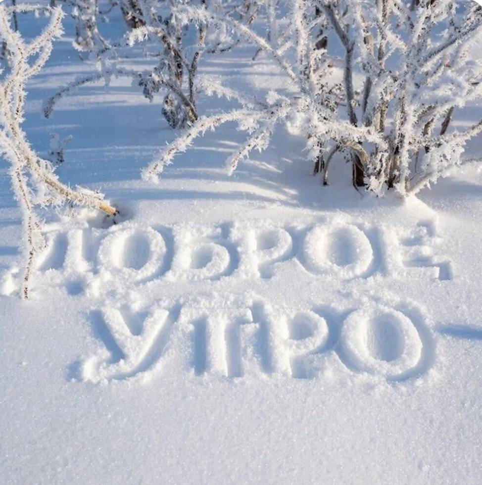 Картинка загружается...