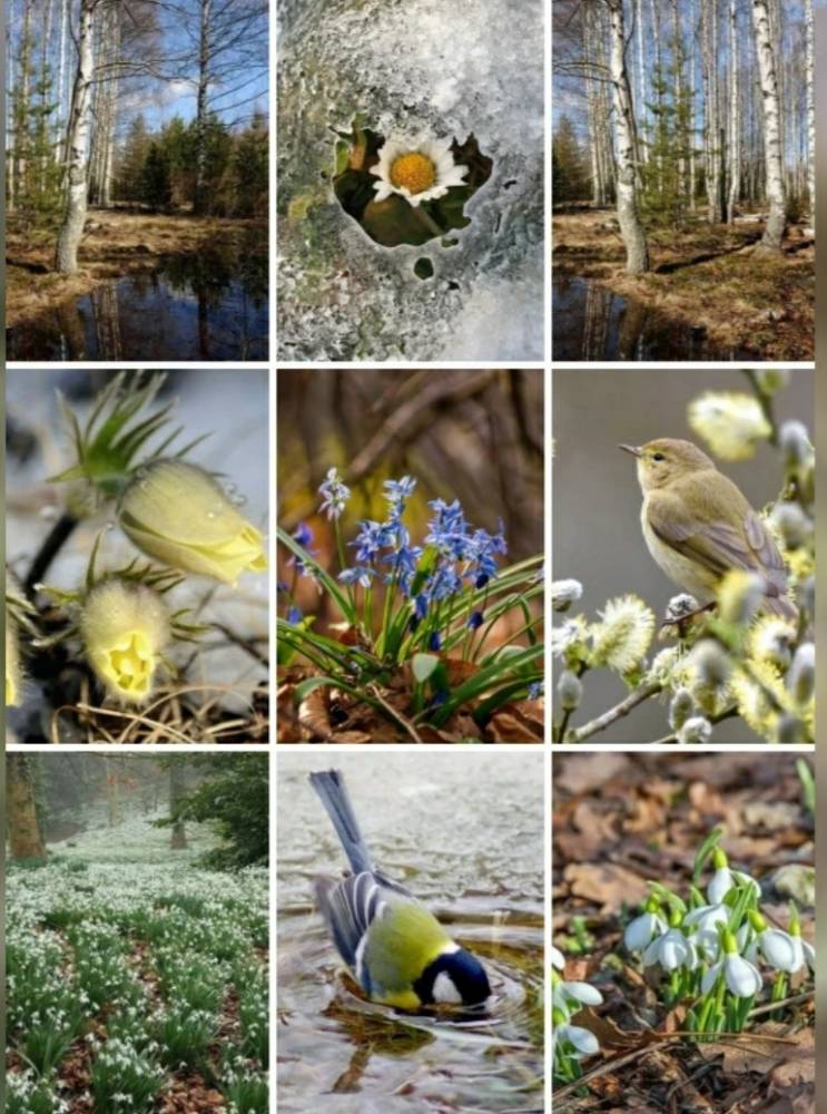 Картинка загружается...