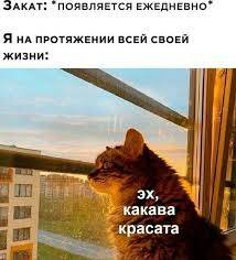 Картинка загружается...