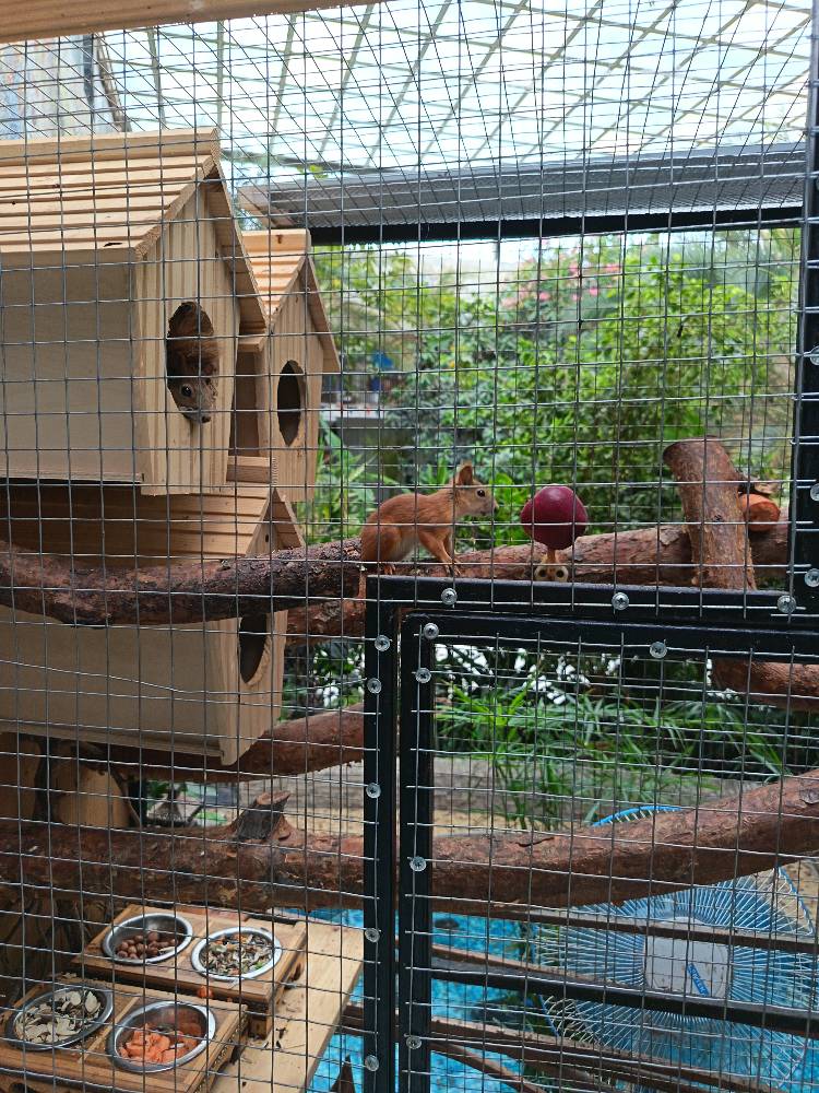 Картинка загружается...