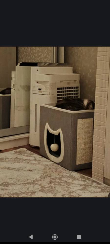 Картинка загружается...