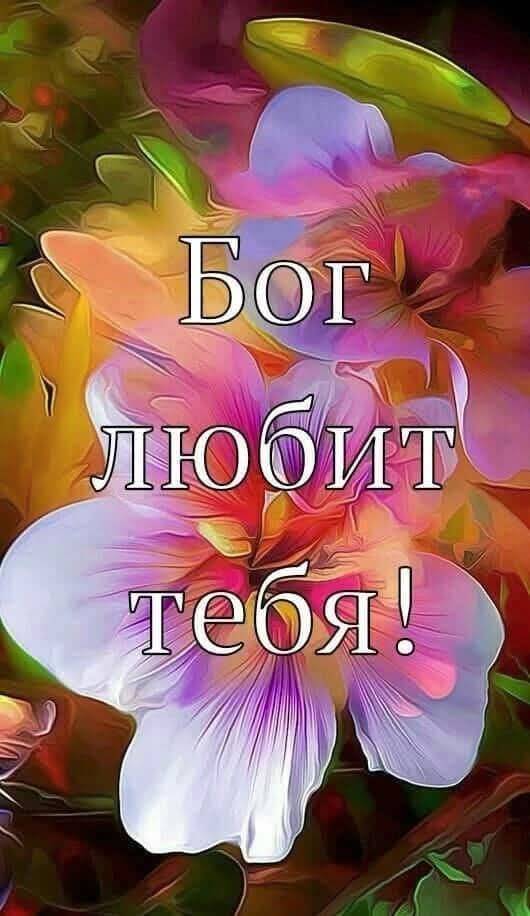 Картинка загружается...