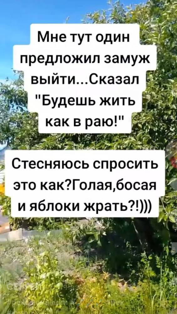 Картинка загружается...