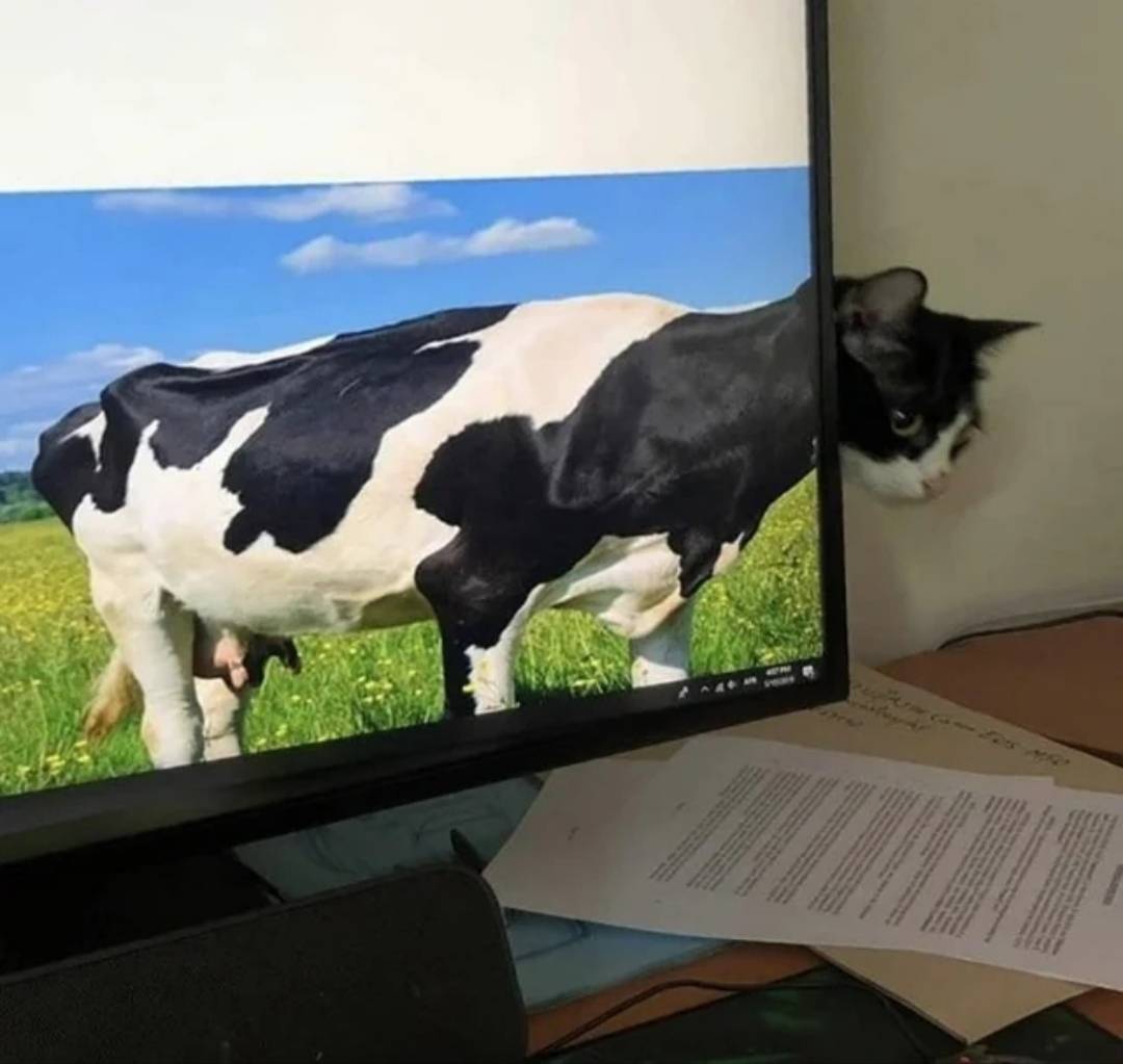 Картинка загружается...