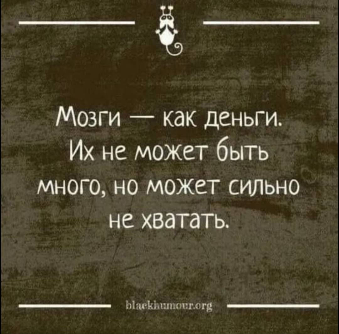 Но может быть и в. Высказывания про мозги. Цитаты про мозг. Мудрые высказывания про мозги. Фразы про мозги.