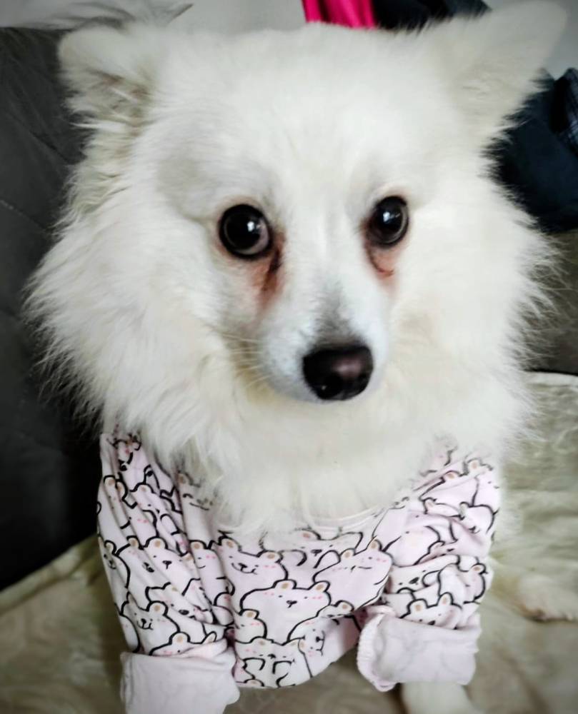 Картинка загружается...