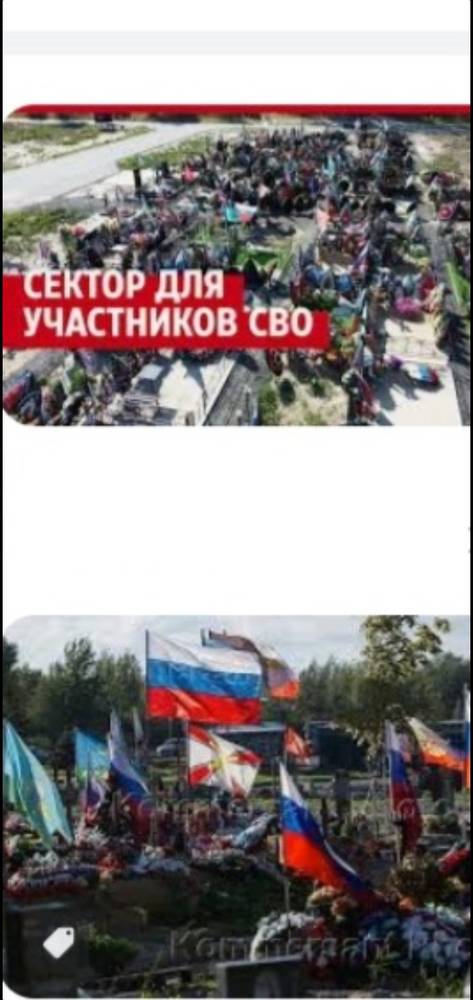 Картинка загружается...