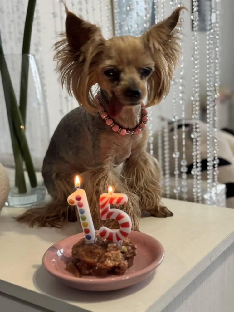 Картинка загружается...