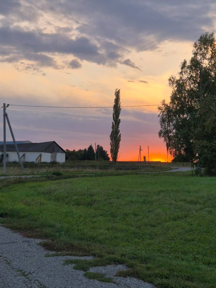 Картинка загружается...