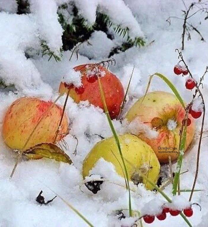 Картинка загружается...