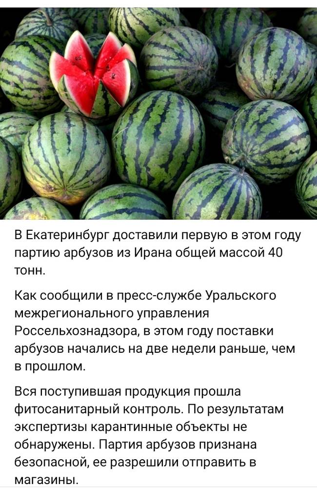 Картинка загружается...