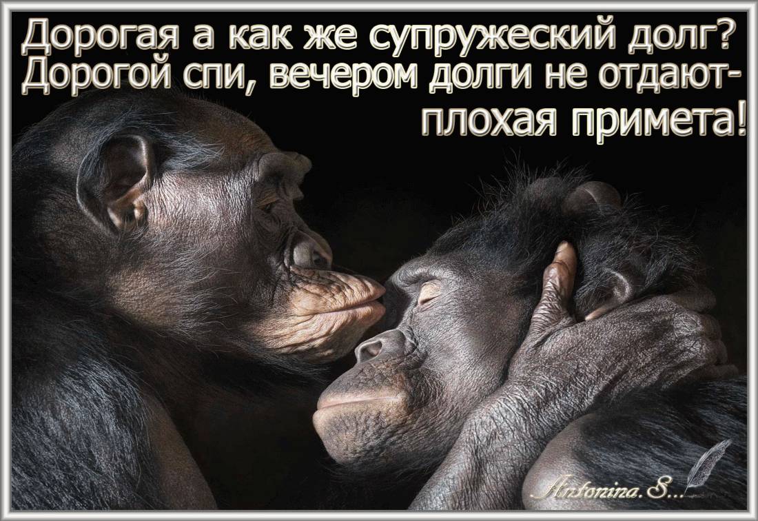 Картинка загружается...