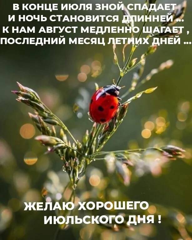 Картинка загружается...
