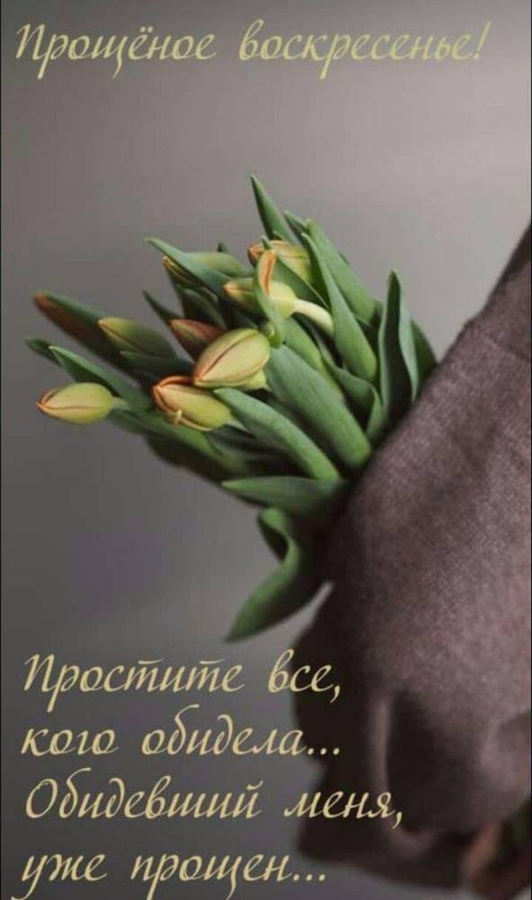 Картинка загружается...