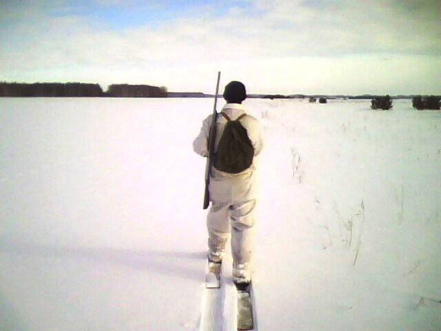 Картинка загружается...