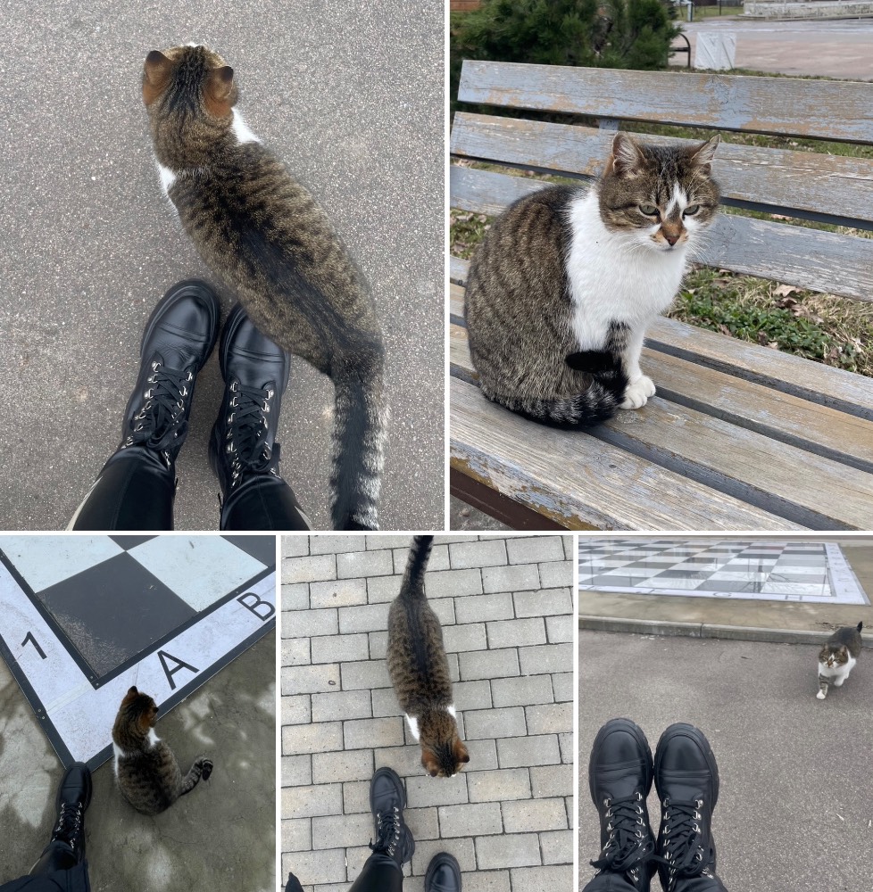 Картинка загружается...