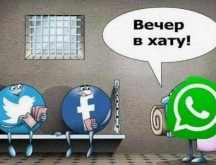 Картинка загружается...