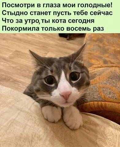 Картинка загружается...