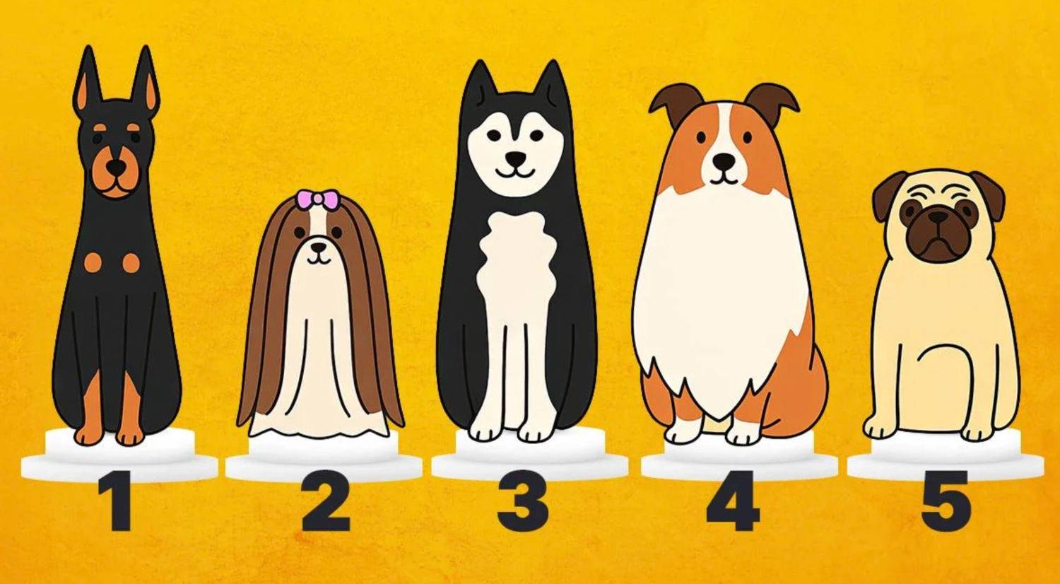 Картинка загружается...