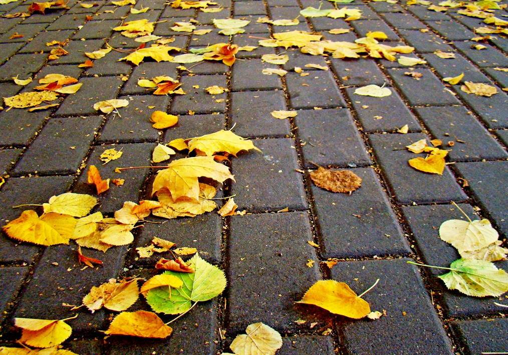 Картинка загружается...