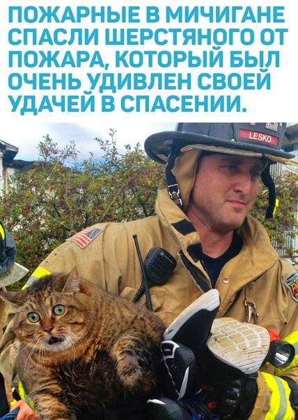 Картинка загружается...