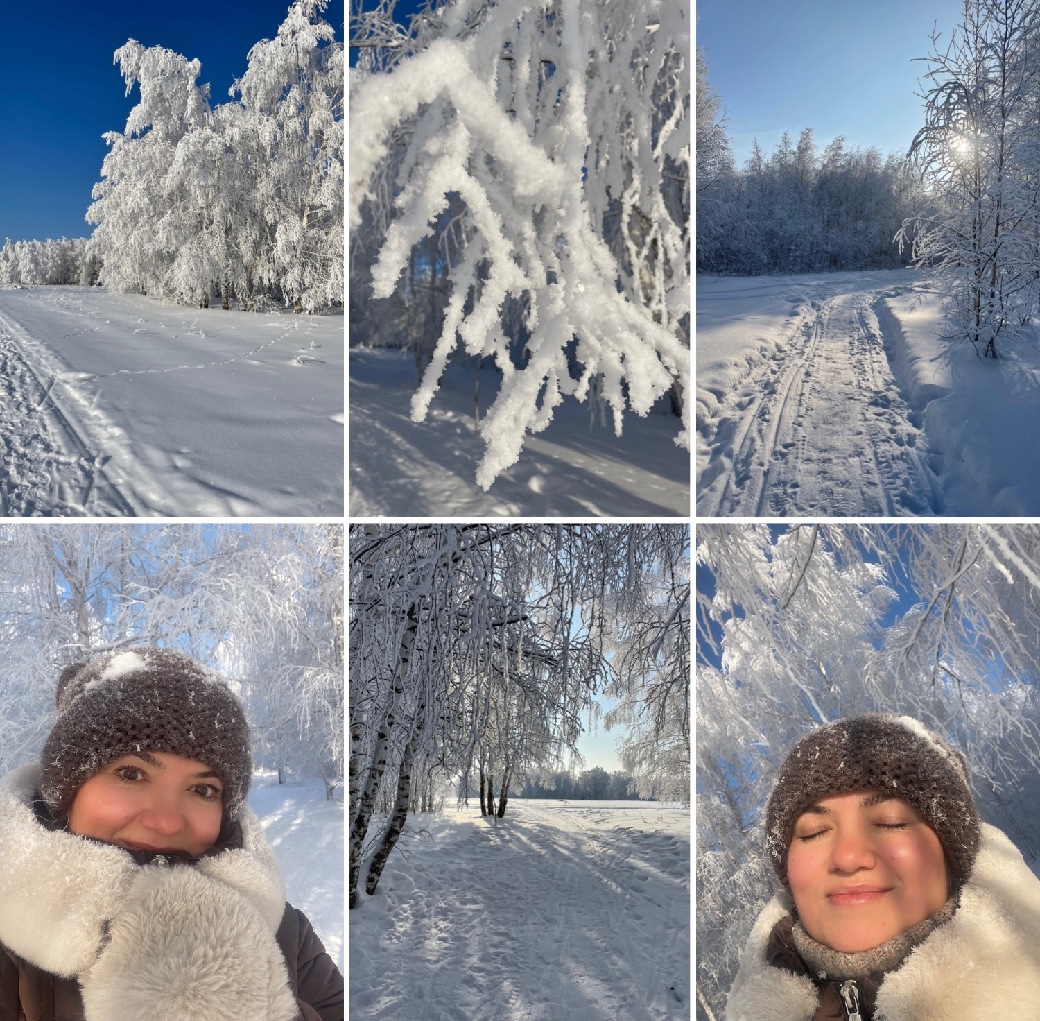 Картинка загружается...